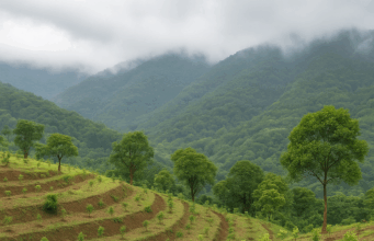 Inovasi Konservasi Lingkungan di Mega Mendung: Kolaborasi Arista Montana dan Yayasan Paseban