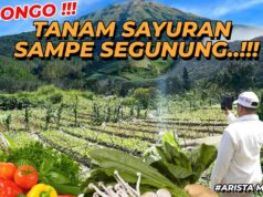 Kampanye Lingkungan Yayasan Paseban di Mega Mendung: Merawat Alam, Merawat Kehidupan