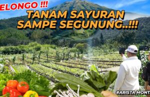 Kampanye Lingkungan Yayasan Paseban di Mega Mendung: Merawat Alam, Merawat Kehidupan