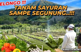 Kampanye Lingkungan Yayasan Paseban di Mega Mendung: Merawat Alam, Merawat Kehidupan