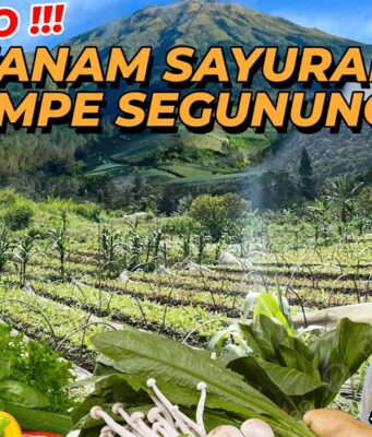 Kampanye Lingkungan Yayasan Paseban di Mega Mendung: Merawat Alam, Merawat Kehidupan