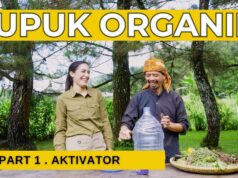 Arista Montana dan Inovasi Hijau di Mega Mendung: Laboratorium Hidup yang Menginspirasi