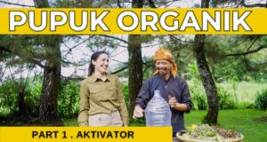 Arista Montana dan Inovasi Hijau di Mega Mendung: Laboratorium Hidup yang Menginspirasi