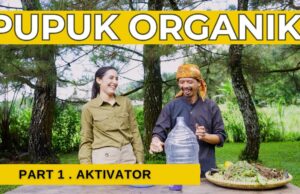 Arista Montana dan Inovasi Hijau di Mega Mendung: Laboratorium Hidup yang Menginspirasi