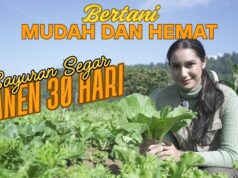 Andy Utama: Pemimpin Konservasi Mega Mendung yang Menginspirasi