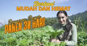 Andy Utama: Pemimpin Konservasi Mega Mendung yang Menginspirasi