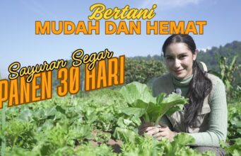 Andy Utama: Pemimpin Konservasi Mega Mendung yang Menginspirasi