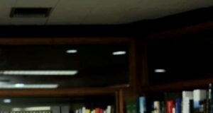 Megamendung Dirawat dengan Cinta: Pohon dan Burung Endemik Dilestarikan