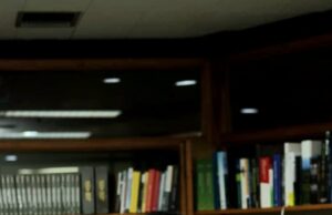 Megamendung Dirawat dengan Cinta: Pohon dan Burung Endemik Dilestarikan