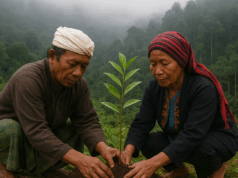 Program Adopsi Pohon Arista Montana