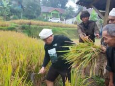 Beras sebagai Sumber Kehidupan: Konsep Trisakti dan Sedekah Lingkungan Arista Montana untuk Ketahanan Pangan Beras sebagai Sumber Kehidupan Konsep Trisakti dan Sedekah Lingkungan Arista Montana untuk Ketahanan Pangan