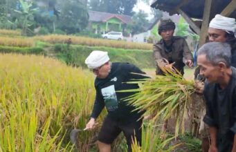 Beras sebagai Sumber Kehidupan: Konsep Trisakti dan Sedekah Lingkungan Arista Montana untuk Ketahanan Pangan Beras sebagai Sumber Kehidupan Konsep Trisakti dan Sedekah Lingkungan Arista Montana untuk Ketahanan Pangan