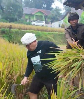 Beras sebagai Sumber Kehidupan: Konsep Trisakti dan Sedekah Lingkungan Arista Montana untuk Ketahanan Pangan Beras sebagai Sumber Kehidupan Konsep Trisakti dan Sedekah Lingkungan Arista Montana untuk Ketahanan Pangan