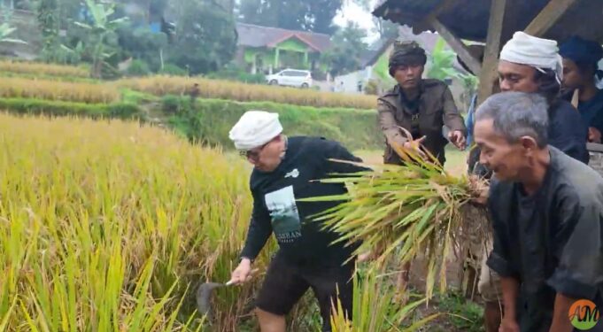 Beras sebagai Sumber Kehidupan Konsep Trisakti dan Sedekah Lingkungan Arista Montana untuk Ketahanan Pangan