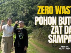 Arista Montana: Ketika Sampah Anorganik Menjadi Nutrisi Bagi Pohon