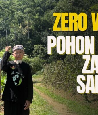 Arista Montana: Ketika Sampah Anorganik Menjadi Nutrisi Bagi Pohon