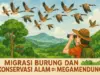 Migrasi Burung Tahunan Dan Upaya Konservasi Alam Oleh Yayasan Paseban Dalam Menjaga Langit Tetap Hidup Andy Utama, Migrasi Burung, Burung Raptor, Konservasi Alam, Yayasan Paseban, Megamendung, Jalur Migrasi Burung,