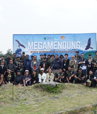 Pengamatan Burung di Megamendung Hasilkan Data Persinggahan Raptor untuk Menentukan Langkah Konservasi Hutan Paseban Pengamatan Burung di Megamendung